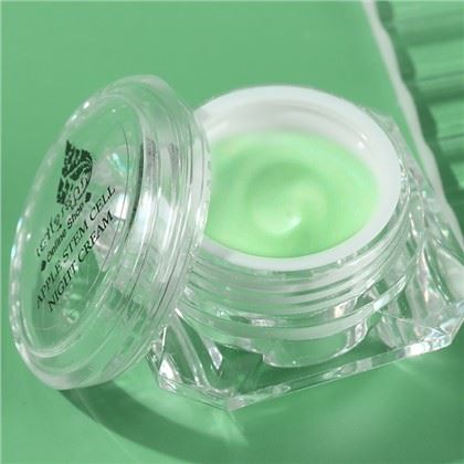 Anti aging obuolių kamieninių ląstelių naktinis kremas